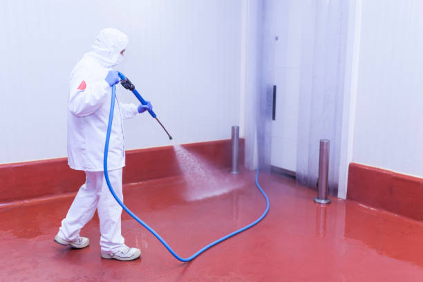 Best Solar Panel Cleaning  in Cera, AL